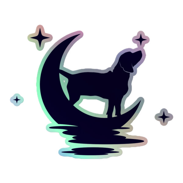 Luna / Holographic stickers
